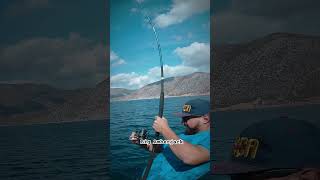 Big Ambergack  SHORE JIGGING fishing highlights viralvideo amberjack shorejigging angler [upl. by Asare]