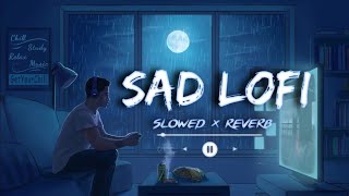 Feel Arijit Singh Vibes। slowed Reverb । lofi song।new lofi songs 2024।non stop lofi songs lofi [upl. by Gomez248]