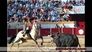 Corrida 25 Abril Alter Chão [upl. by Sixela]