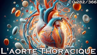 Anatomie de lAorte thoracique  CQ282 [upl. by Donica]