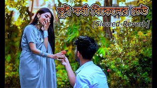 Tui Barsha Bikeler Dheu🙂 তুই বর্ষা বিকেলের ঢেউ lofi song bangla Rocky zeemusiccompany [upl. by Ardnossak]