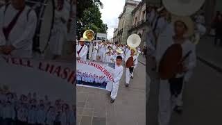 La banda infantil quotREVOLUCIONquot de San Cristobal Lachirioag En el Zocalo de la ciudad de Oaxaca [upl. by Ettenaj]