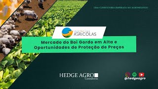 Notícias Agrícolas Mercado do Boi Gordo em Alta e Oportunidades de Proteção de Preços [upl. by Emmons]