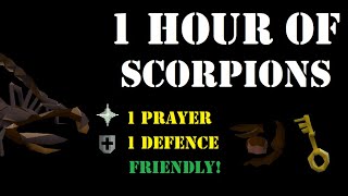 1 Hour of Scorpions as a Pure Wilderness Slayer 60 Attack90 Strength  OSRS [upl. by Aitnauq]