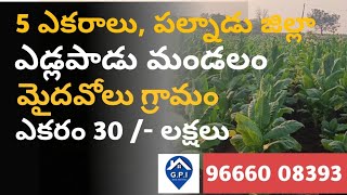 agricultural land 5 acres wet land Edlapadu agriculturallandforsaleguntur lowcostlands [upl. by Bondon]