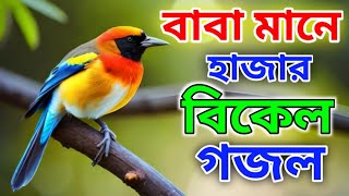 বাবাকে নিয়ে হৃদয় স্পর্শী একটি নতুন বাংলা গজল  Baba mane  Roushan Izdani  Heart touching gojol [upl. by Peatroy317]