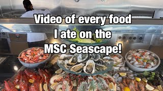 Video of every food we ate on the brand new MSC Seascape [upl. by Adalard]