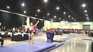 Ella Kate Parker Cincinnati Vault 2024 DEV Nationals [upl. by Ogait]