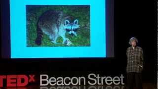 Remembering to be a Child Jeanne Birdsall at TEDxYouthBeaconStreet [upl. by Jumbala]