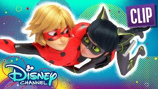 Ladybug and Cat Noir Switch  Passion  Miraculous Ladybug  disneychannel x Miraculous [upl. by Bozovich]