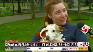 Mutt Strut Raising money for homeless animals [upl. by Oliver153]