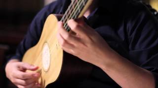 Canarios  Gaspar Sanz  Baroque Guitar [upl. by Yecak58]