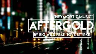 ♫ Aftergold by Big Wild ♫✘HeyMoritz Hintergrundmusik✘ [upl. by Ailet]