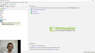 Como usar o DbVisualizer Querys [upl. by Hay627]