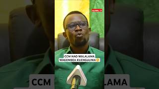 CCM NAO WALALAMA WAGOMBEA KUENGULIWA🥺 breaking ccm chadema globaltv shortsvideo [upl. by Idroj]