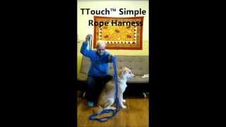 Tellington TTouch® Simple Rope Dog Harness [upl. by Portwin]