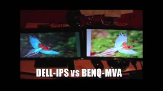 DELL UltraSharp U2311H vs BenQ VW2420H [upl. by Erv]