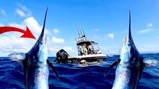 640LB Swordfish Vs 18ft Boat [upl. by Ecerahc]