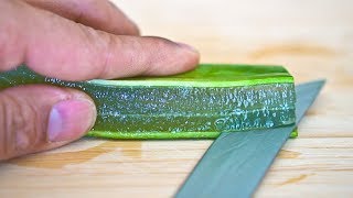 How to Make Aloe Vera Gel in 90 Seconds [upl. by Combs]