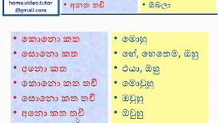 Learn Japanese Language using Sinhala Language Part 001 [upl. by Eatnohs]