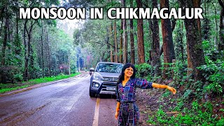 Bangalore To Chikmagalur Road Trip  Chikmagalur Road Trip In Monsoon RoadTrip Chikmagalur DATZone [upl. by Ammadas194]