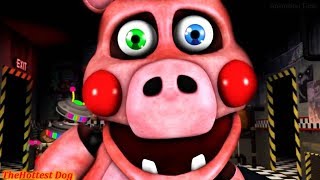 FNAF SFM Ultimate Custom Night Jumpscares [upl. by Ihp]