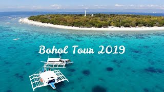 【CUCURU MOVIE】ギンガメアジのトルネード！2019ボホール島ツアー【ダイビングの世界】Diving in BOHOL [upl. by Dede]