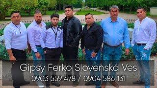 GIPSY FERKO SLOVENSKÁ VES  Tenaroven COVER [upl. by Colly]