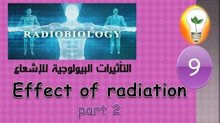 Radiobiology 9 Radiation effect on the body part 2 تأثيرات الأشعة على الجسم البشري ج2 [upl. by Trill132]