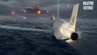 Navys LRASM Unveiling NextGen Missile Power [upl. by Brunella]