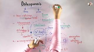 Osteoporosis in Urdu\Hindi  Biomechanics of human bone growth and development [upl. by Nilerual]