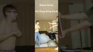 Elbow Strike Board break Tang Soo Do [upl. by Brightman]