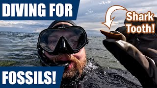 Australia fossil adventure diving for fossil shark teeth [upl. by Codding]