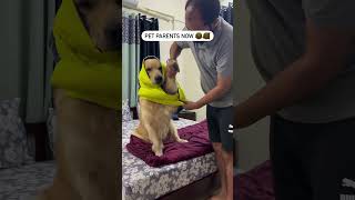 Pet parents in 90s vs Now 😅 oscarwonderpup goldenretriever funny reality dogshorts petparent [upl. by Nakada]