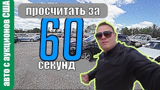 просчитать авто🚗 из США🇺🇸 за 60 секунд [upl. by Aehtorod]