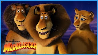 From Madagascar to the Depths of Africa  Extended Preview  DreamWorks Madagascar [upl. by Altheta]