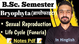 Life Cycle Of Bryophytes Funaria  Sexual Reproduction  Bsc Semester  By Dadhich Sir [upl. by Anaiad576]