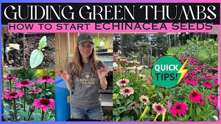 HOW TO START ECHINACEA SEEDS  TIPS amp TRICKS FOR GREAT GERMINATION  WINTER GROWALONG 2024 [upl. by Eihcra]