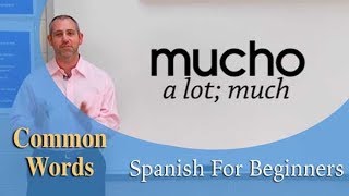 Common Words in Spanish  Spanish For Beginners Ep18 [upl. by Eadith]