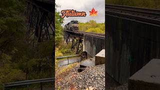 A Trestle Shot In Every Season railroad railfan train [upl. by Ihsakat]