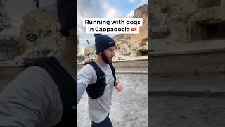 Running with dogs in Cappadocia  salomonrunning running [upl. by Ecirtael]