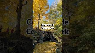 Cascadas de Central Park nuevayork manhattan nyc [upl. by Hilliary607]