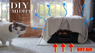 Best Humidifier for Dry Air Bedroom  Homemade and Free [upl. by Enila]