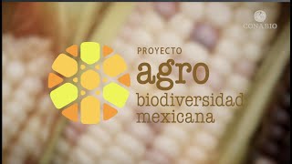 Proyecto Agrobiodiversidad Mexicana [upl. by Inoliel]