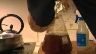 Building Up A Yeast Starter For A High Gravity Beer [upl. by Doralin]