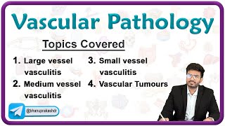 🩸🛤️ Vascular Pathology  Part 1   Vasculitis amp Atherosclerosis🔬 Pathology Chapter  4 [upl. by Peyter]