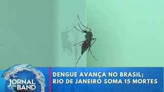 Dengue avança no Brasil Rio de Janeiro soma 15 mortes  Jornal da Band [upl. by Mcevoy]