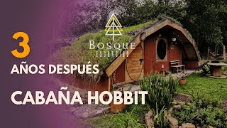 3 años después  Nuestra CABAÑA HOBBIT [upl. by Ogirdor]