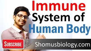 Innate and adaptive immunity  immune system of human body lecture [upl. by Desberg]