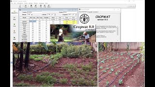 CROPWAT 80 SOFTWARE EXPLAINED [upl. by Ulysses340]